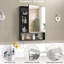 Miroir de rangement pour salle de bain de 30 po de largeur et 24 po de profondeur avec armoire, structure en aluminium, noir, tablettes réglables pour structure d'armoire de toilette, rangement