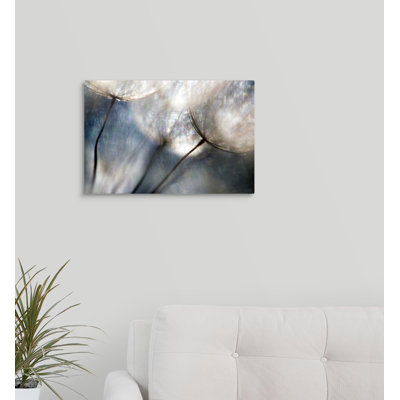 " Carefree " by Ursula Abresch