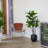 48'' Faux Elephant Ear Tree in Wood Pot