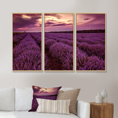 Sunrise and Dramatic Clouds over Lavender Field III - 3 pièces, reproduction sur cadre flottant sur toile