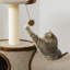 104cm H Cat Tree
