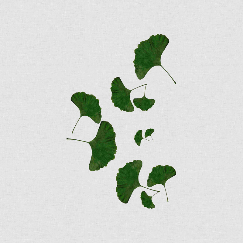 Feuille de ginkgo I - impression, H 12 po x l 12 po, Non, Toile tendue