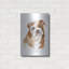 Art mural en métal Winston Porter «Dog Portrait 3» par Katrina Pete-1069369074