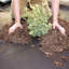 Bordure de paysage Barrier Pro