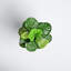 30'' Faux Fiddle Leaf Fig Tree in Wicker/Rattan Basket