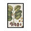 « exotic botanique ii », reproduction d’impression sur toile tendue-29052228-72780949-72780950