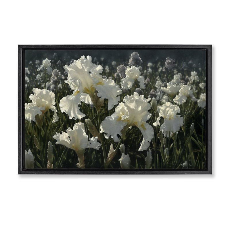 White Iris Garden Floating Frame, design by Collin Bogle, Jet Black Floater Frame, 17" H x 25" W