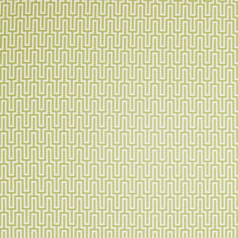 Linnean Fabric, Lime