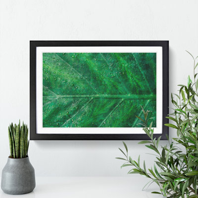 Green Leaf Pattern - Framed Print