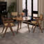Modern Mid Century Dining Chairs, Rattan Accent Armchairs, Set of 2 for Indoor/Outdoor Use