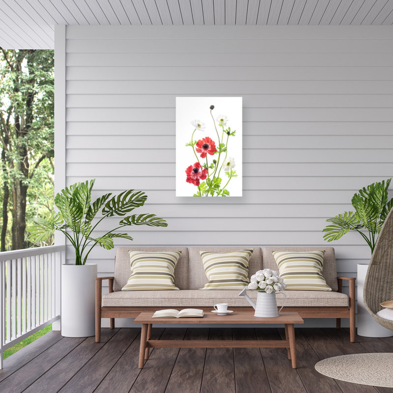 «Spring Anemone Family» sur toile par Ipuravida, H 24 po x l 16 po