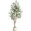 152cm Plant-1453861710