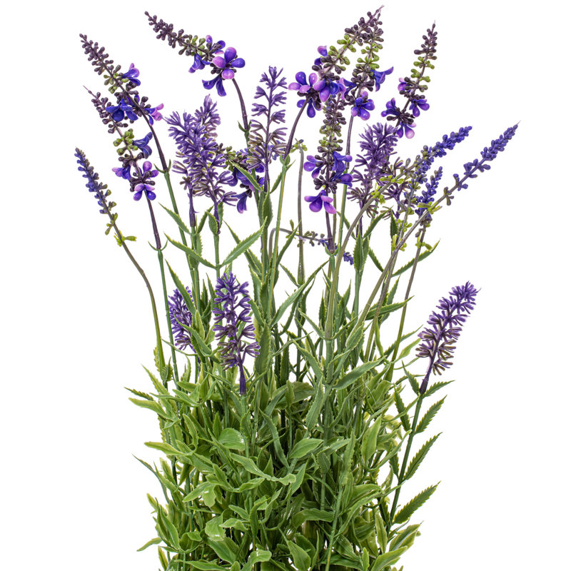 Arrangement floral lavande en pot