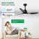 42" Smart Ceiling Fan With Lights Remote