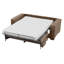 Maximina 2 Seater Sofa Bed-806667483