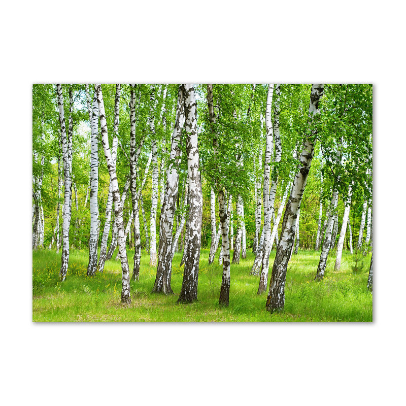 Birch Forest - Wrapped Canvas Print