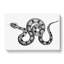 Boa Constrictor Snake in Black & White by George Shaw - Wrapped Canvas Drawing - Wrapped Canvas-55362644