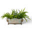Celadon Toile Handmade Planter