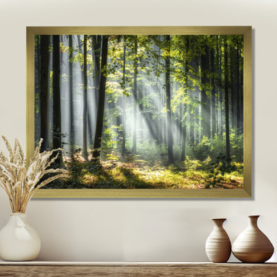 «Sunny Morning Magic Forest III - Forest», reproduction d'art sur toile