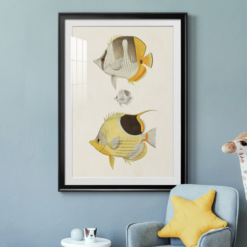 Poisson jaune et gris II - imprimé, H 42,5 po x l 30,5 po x P 1 po, Cadre noir