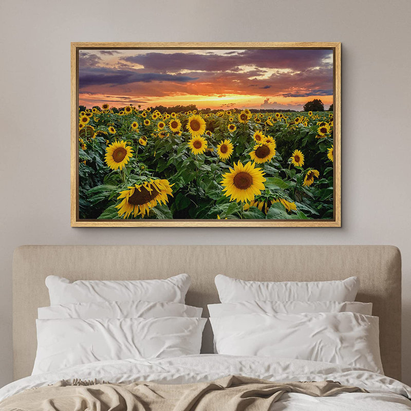Tournesol, coucher de soleil, horizon, champ de tournesols, nature sauvage - photographie à cadre flottant, L 24 po x H 16 po