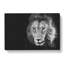 Portrait Of A Lion - Wrapped Canvas-56630053