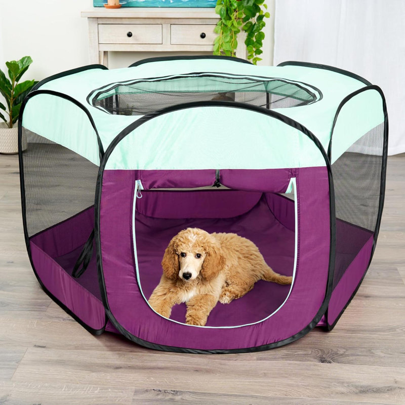 Cage portative pliable pour chien