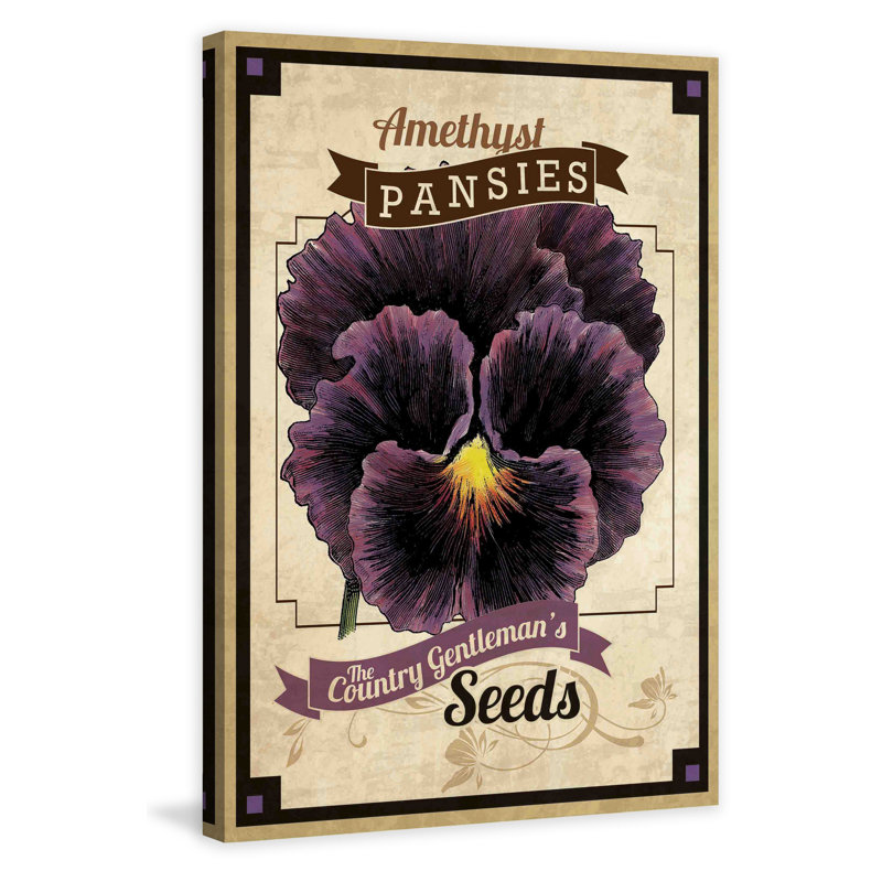 Flower Packet Pansy - Wrapped Canvas Print, 91cm H x 61cm W