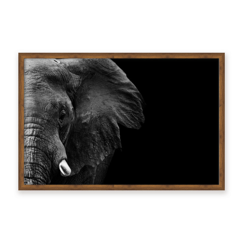 Nature Inspired Elephant by  - Picture Frame Photograph on Paper, 16" H x 24" W x 1.125" D, Beige, Framed Print
