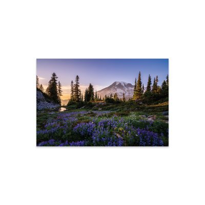 Rainier Meadow, parc national du Mont Rainier par Jim Nilsen