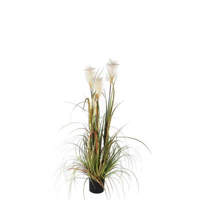 Faux Pampas Grass Grass in Pot