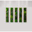 Art mural Symbiotikwalls Moss. Mur de mousse. Moss Art Panels. Art mural vert (2 cadres)-111083979