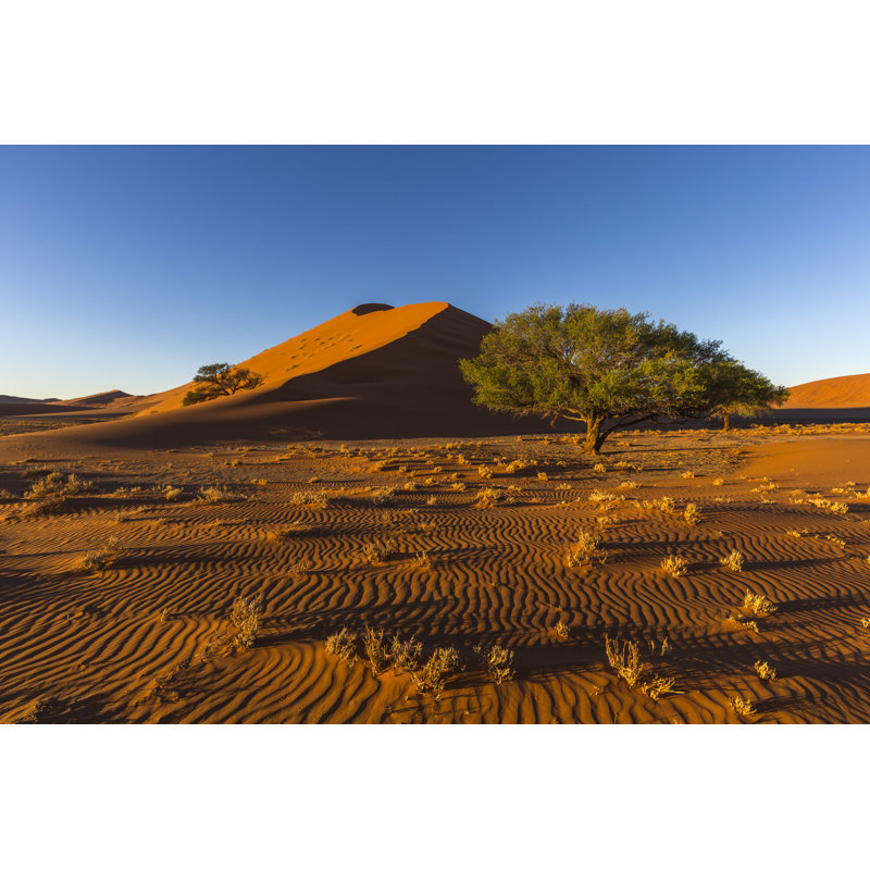 Sand Patterns In Early Morning Light - Wrapped Canvas Print, 30cm H x 46cm W x 3.8cm D