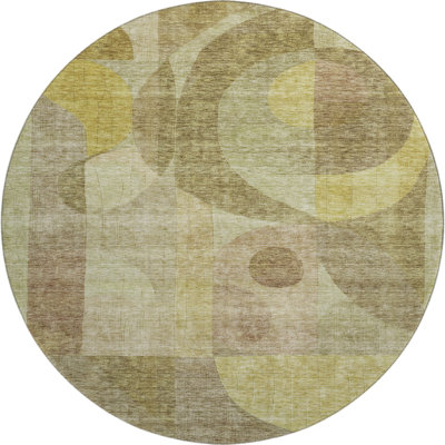 Premium Machine Washable Dimatteo AMF1118 Modern Rug