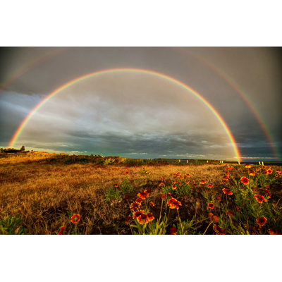 Rainbows over a Park - Photographie sur toile tendue
