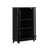 Black est en rupture de stock
