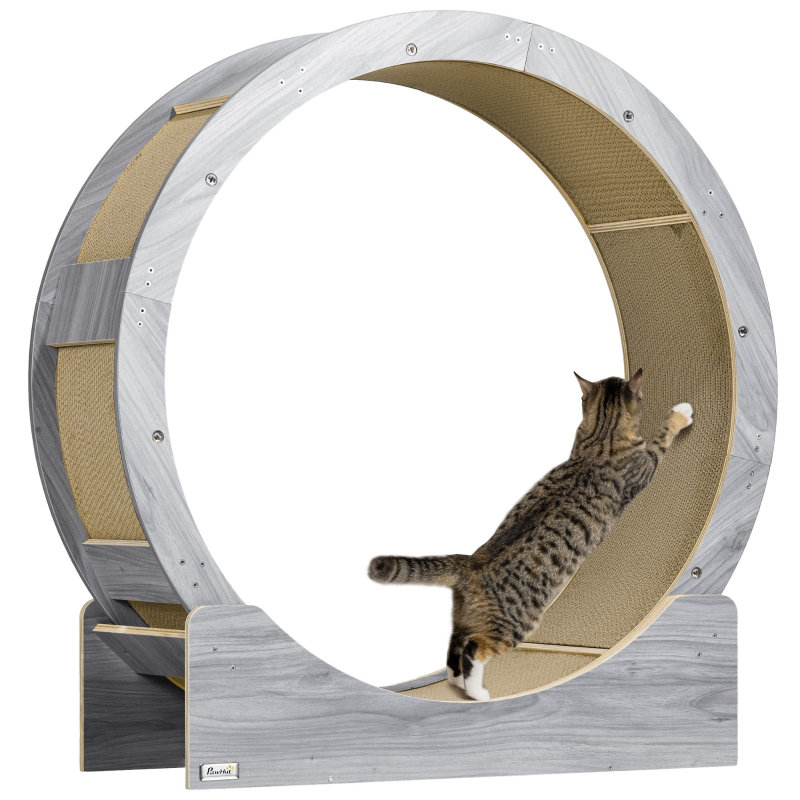 Scratching Post