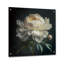 Blooming White Peony V - Art mural acrylique pivoine-700387236