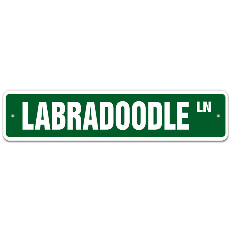 Plaque de rue Loie, H 6 po x l 24 po x P 0,1 po