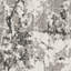 Tapis gris / ivoire Strasser-1098985144