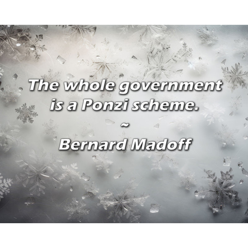 Citation artistique «Le gouvernement tout entier est un système de Ponzi». Toile tendue par Bernard Madoff, H 40 po x l 28 po