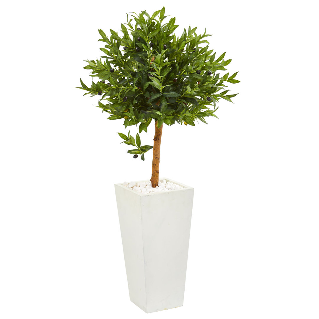 4ft. Olive Topiary Artificial Tree in White Planter UV Resistant (Indoor/Outdoor) Fleur De Lis Living