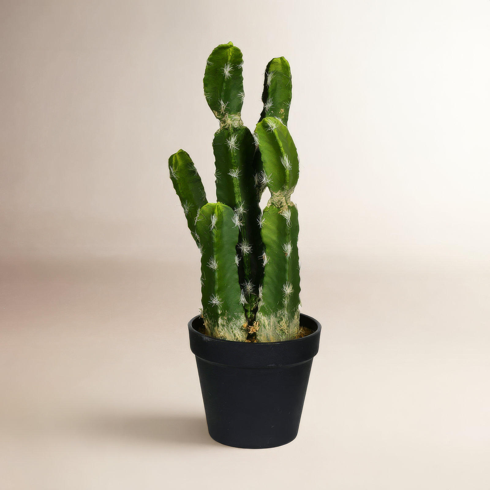 14'' Faux Succulent in Pot