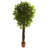 82.5" Artificial Ficus Tree in Pot