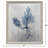 Oceanic Curiosity I Framed Art