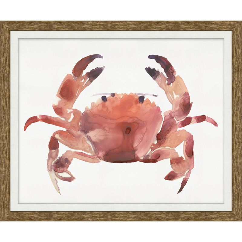 Coral Crab Impression 2 Print