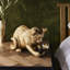 Switzer Resin Novelty Lamp-50266507