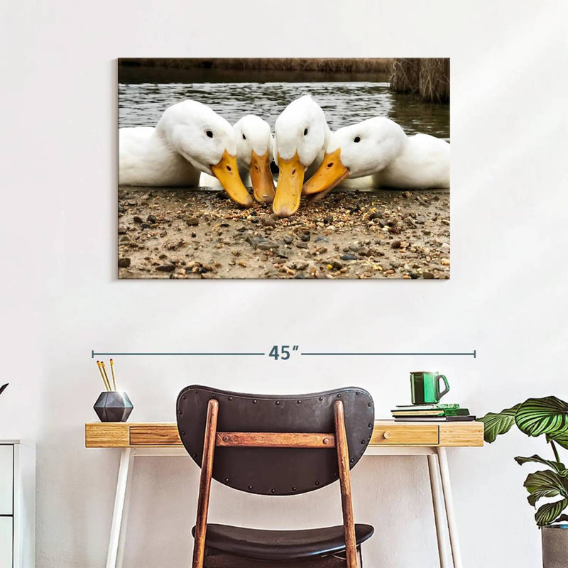 Pekin Ducks de Brampt, H 26 po x l 39 po