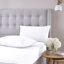 Silentnight Brushed Cotton Fitted Sheet Set-42181667-42181670