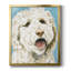 Toile encadrée de qualité supérieure Labradoodle II - prête à être accrochée-42089748-42089750